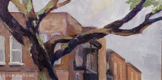 335 Habersham, Savannah GA