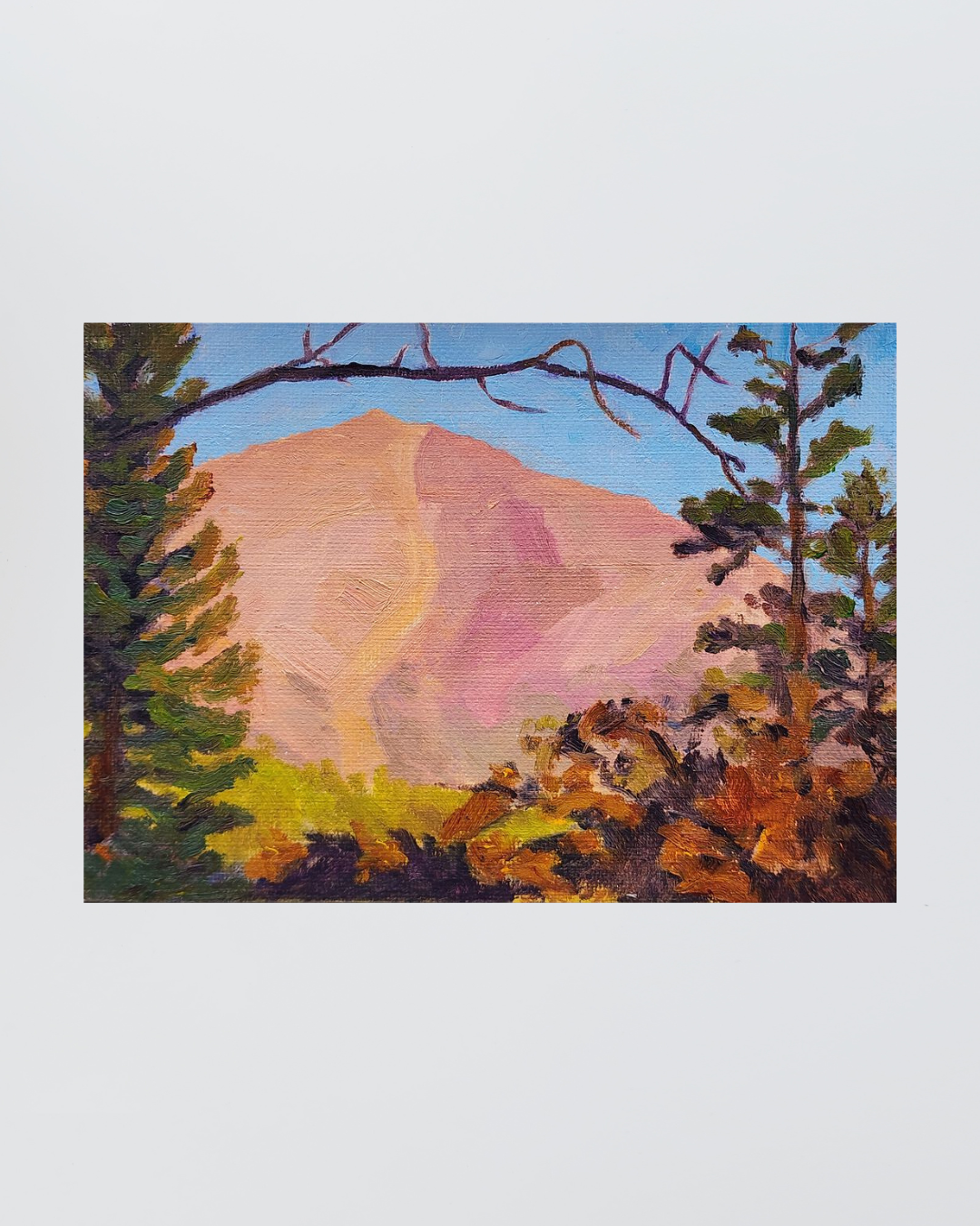 Meeker Dawn. Alpen Glow