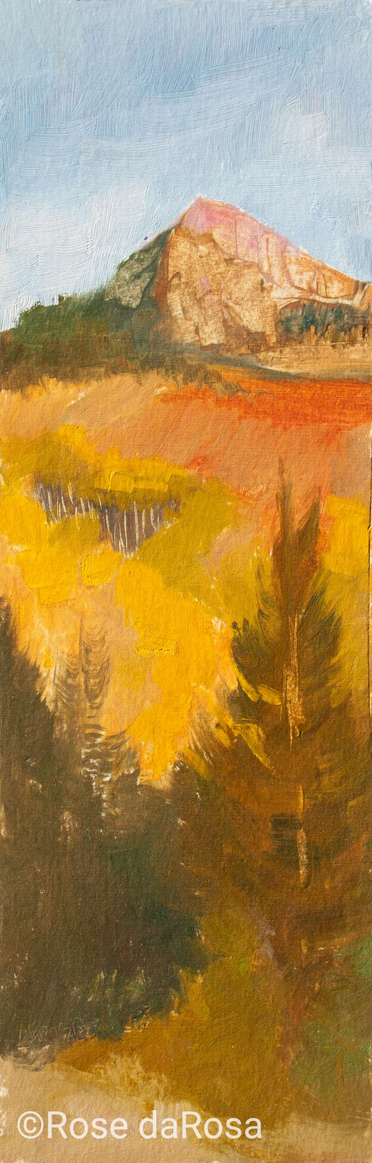 Aspen Golden Hour, FR19