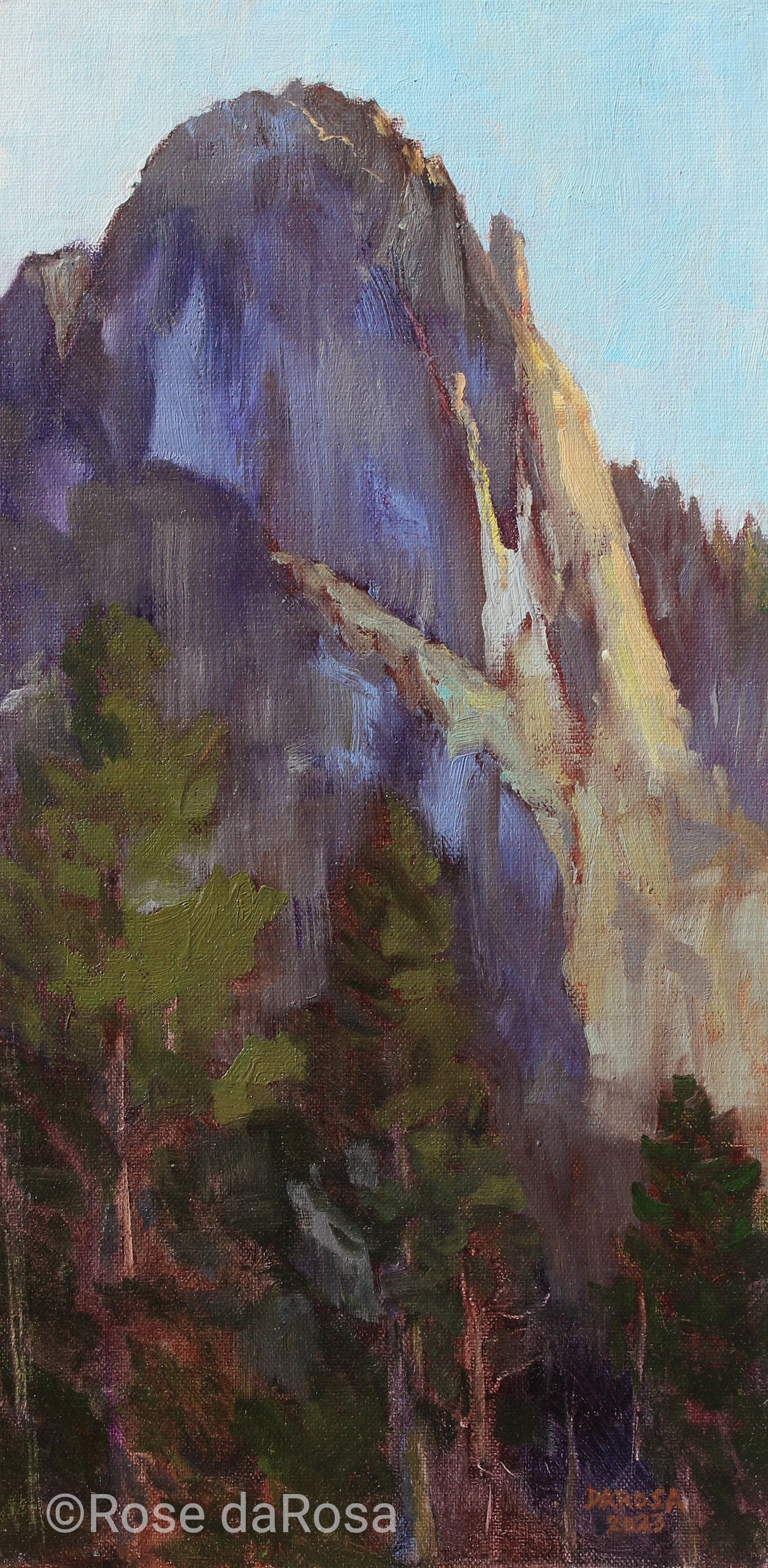 Yosemite Sentinel