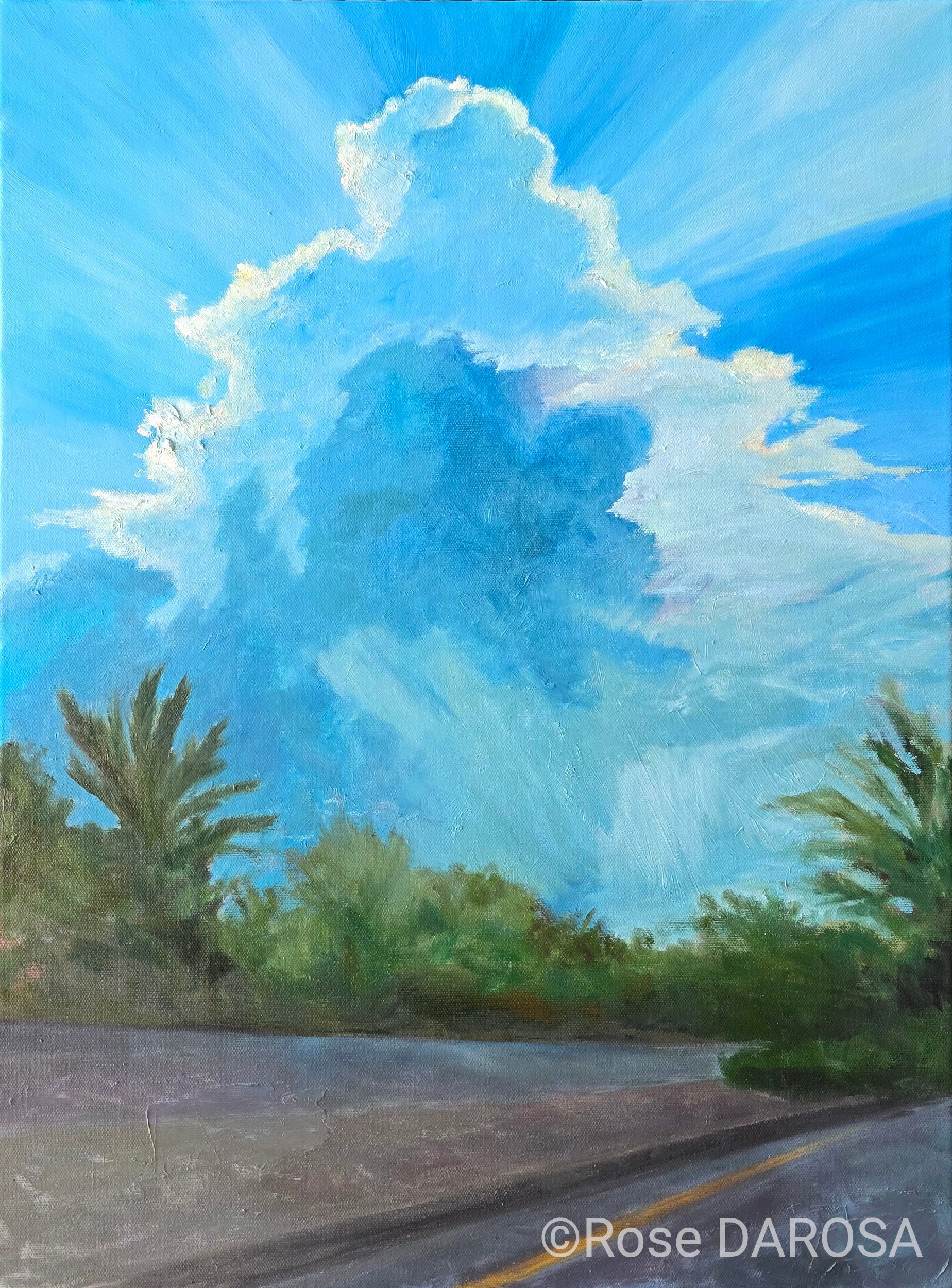Rose-DAROSA Highway Cumulonimbus Miami 18x24