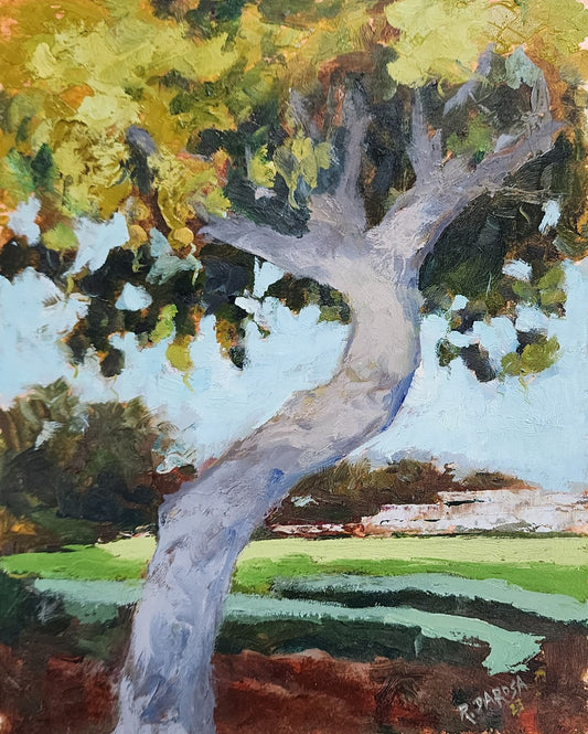 Sea Grape at Pirate Playground. Miami Beach