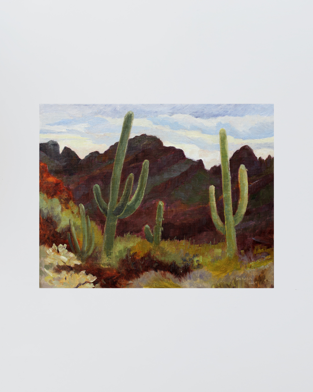 Ajo Mountains. Organ Pipe Cactus National Monument