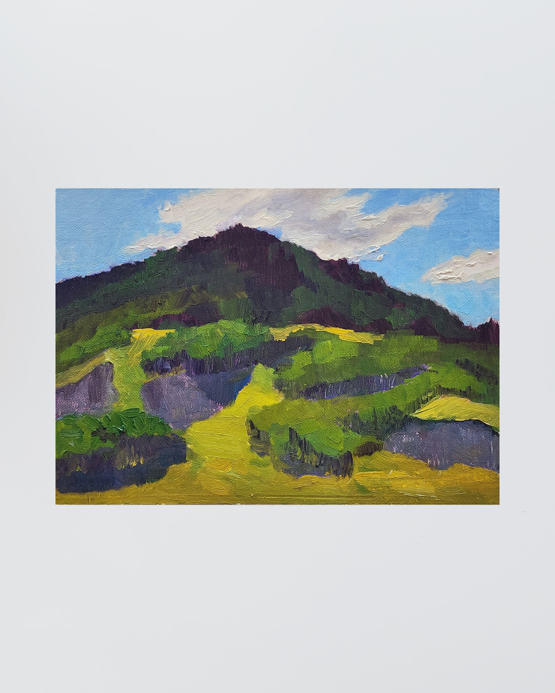 Up the Hill. Crested Butte CO