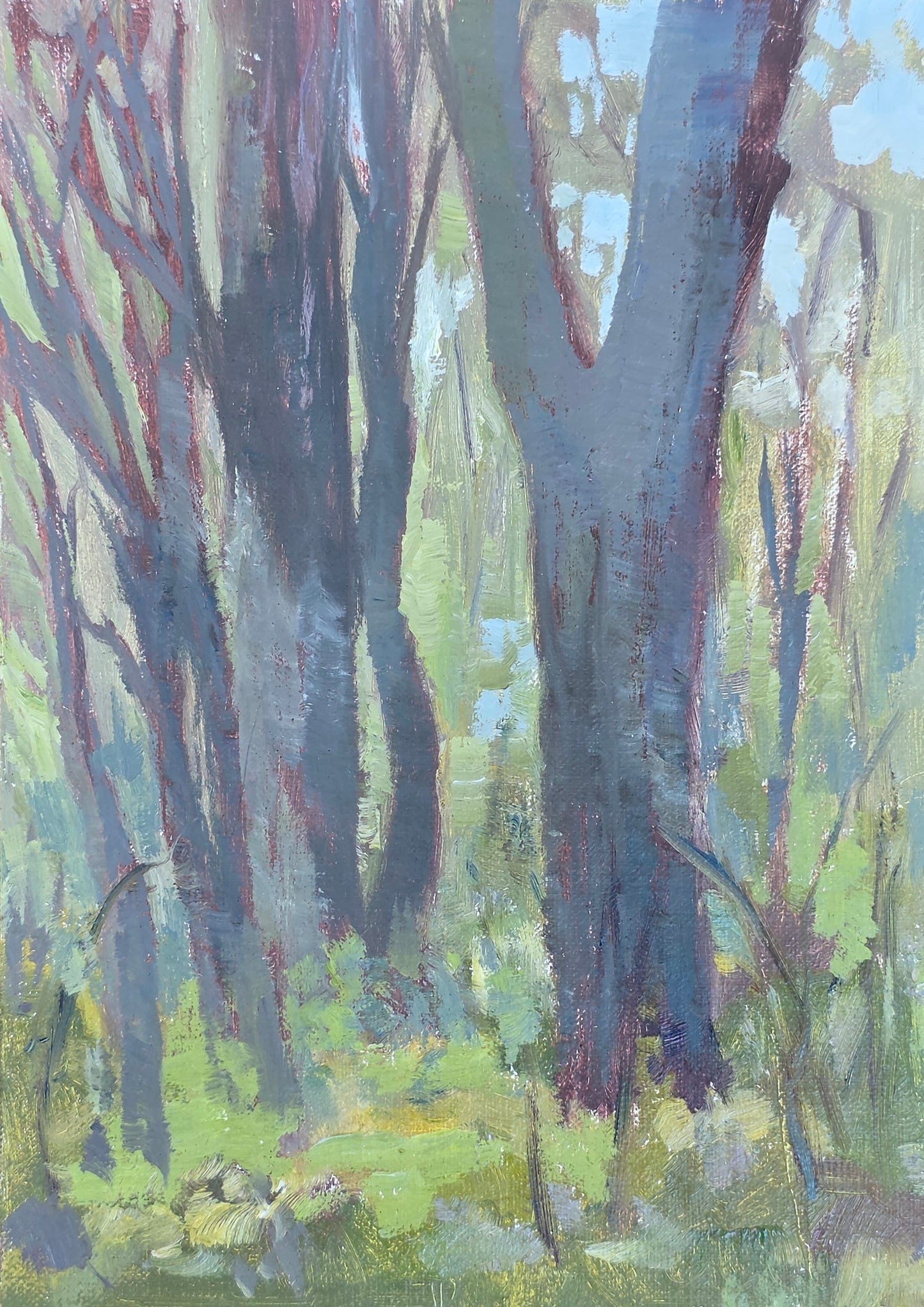 Shenandoah Mist I: Sanctuary