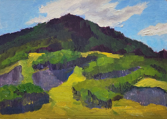 Up the Hill. Crested Butte CO