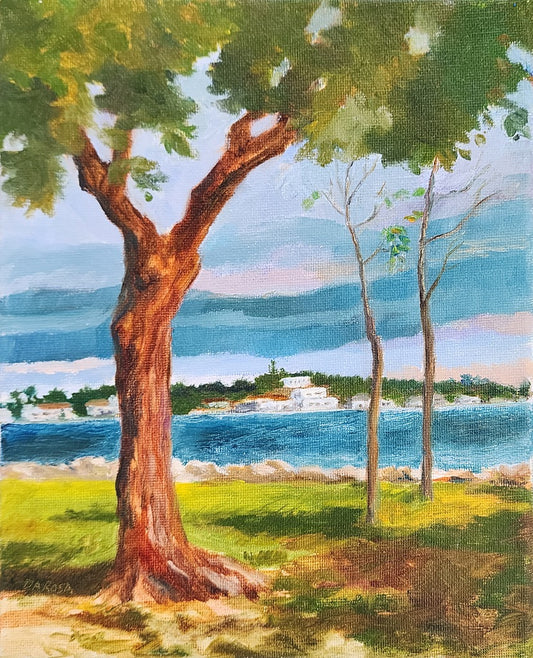 Storm Sky takes Biscayne Bay