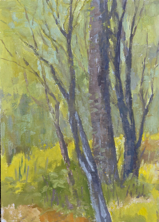Shenandoah Mist II: Shifting Light